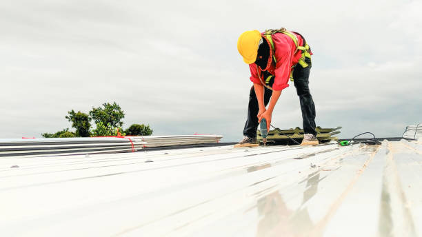 Best Sheet Metal Roofing  in Germantown, WI